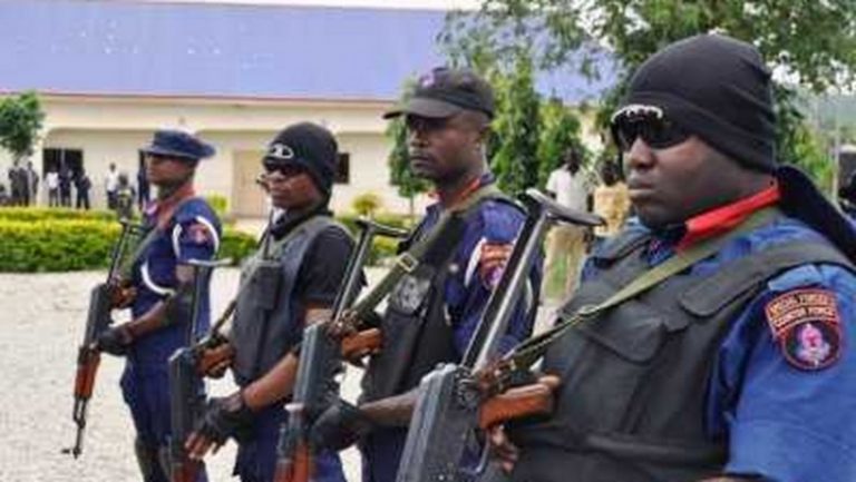 Man turns school compound into Indian hemp farm, falls into NSCDC net