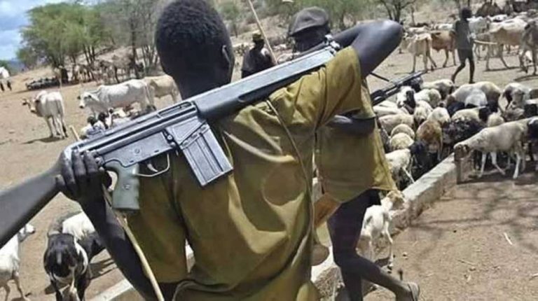 REVEALED: How Herdsmen Threaten Soldiers, Policemen To Beat A Hasty Retreat In Delta