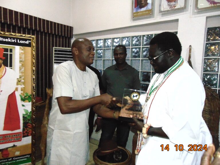 ACNPN confers award on Chief Ayiri