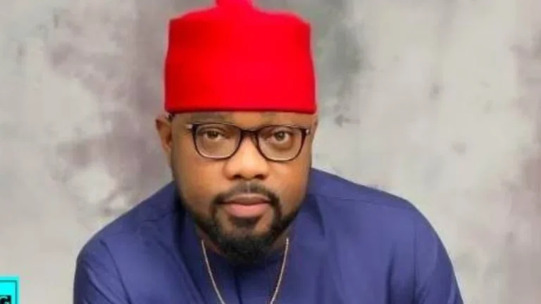 Irredeemable doom awaits PDP – Ugochinyere warns