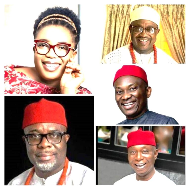 Much Ado About Aniocha/Oshimili Federal Constituency Judgment?