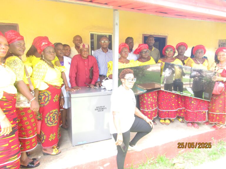 ICDU(UK) Women Wing Donates Equipment to Ibusa Hospital