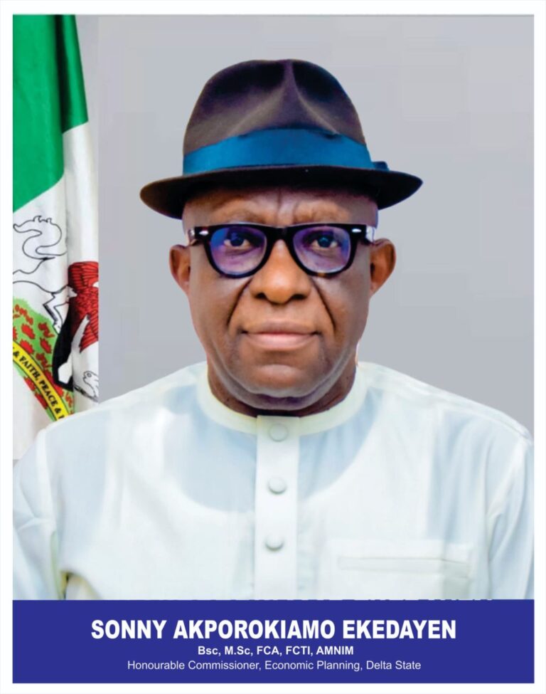 How We Increase Delta IGR to N158 Billion By Economic Planning Commissioner