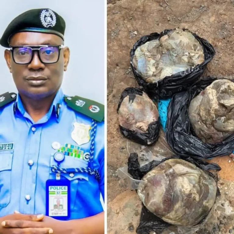 Police Hunt for Man Who Lured and Killed Pregnant Nurse in Anambra