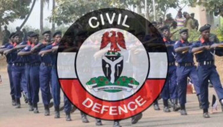 Tinubu Pulls the Plug on Police, Handover Protection of VIPs to NSCDC