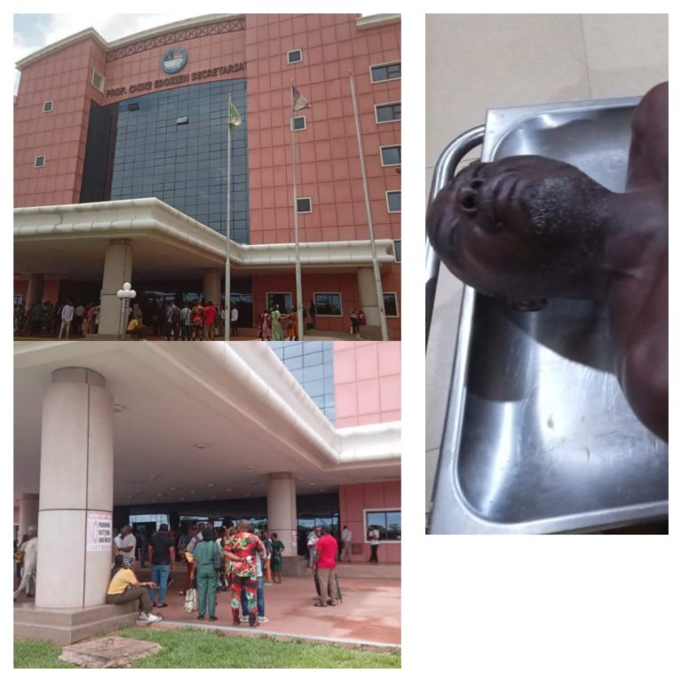   Delta Workers Shut Down State Secretariat Over Deputy Director’s Death