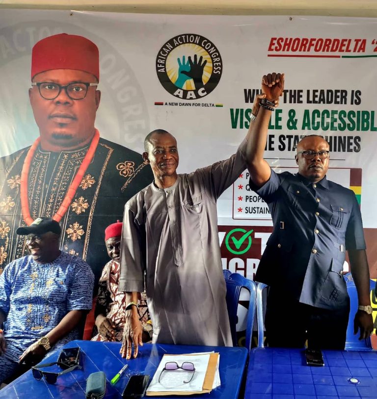 Delta Abure-Led Labour Party Reaffirms Alliance With AAC Ahead of 2027 Elections